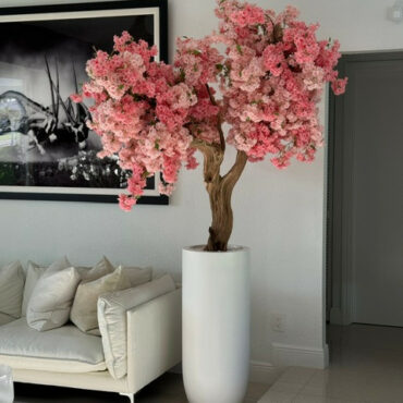 Magnolia éternel