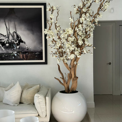 Magnolia éternel